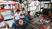 Pesca de mero en Yucatán: flota sale con buenas expectativas pese a factores climáticos