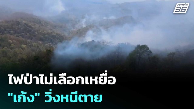 ไฟป่าไม่เลือกเหยื่อ เก้ง วิ่งหนีตาย - ไข่นกยูงอยู่ในจุดเสี่ยง | เที่ยงทันข่าว | 2 เม.ย. 69
