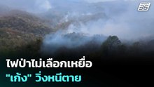 ไฟป่าไม่เลือกเหยื่อ "เก้ง" วิ่งหนีตาย - ไข่นกยูงอยู่ในจุดเสี่ยง | เที่ยงทันข่าว | 2 เม.ย. 69