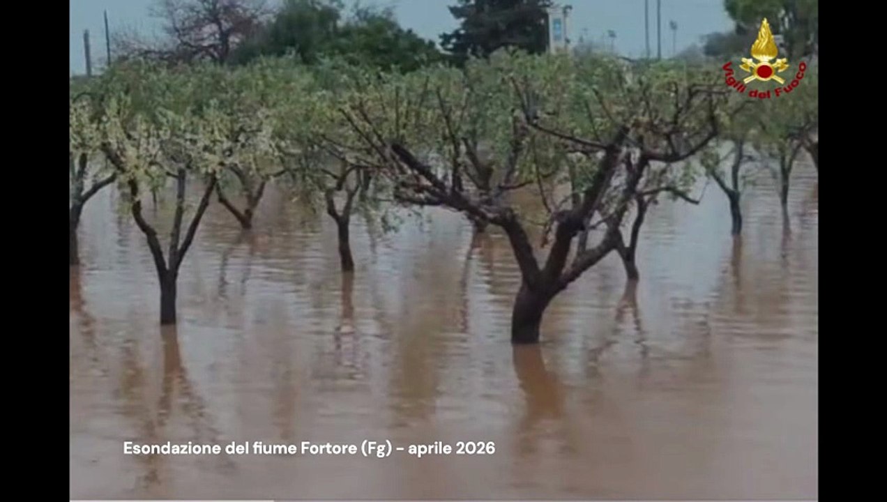 Maltempo nel foggiano, esondato anche il Fortore: allerta "rossa" sul fiume