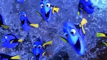 Finding dory