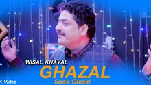 Ghazal Ba Sok Oleeki | Wisal Khayal | Pashto New Tappay 2026 | Official Music Video