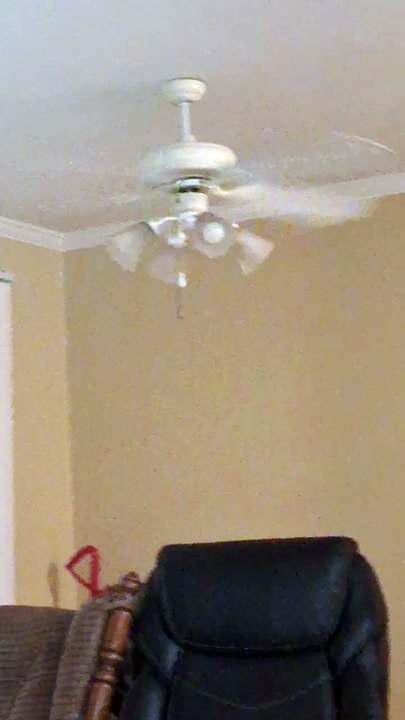 1700 USD rent and you get this fan