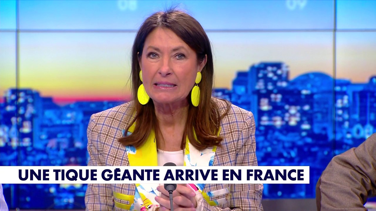 La chronique santé : Une tique géante arrive en France