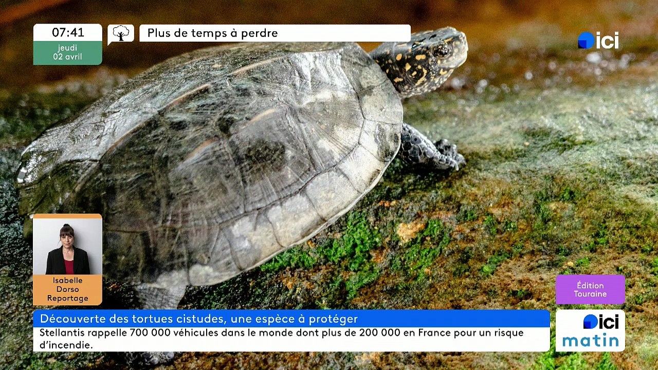 02/04/2026 - ici matin par ici Touraine