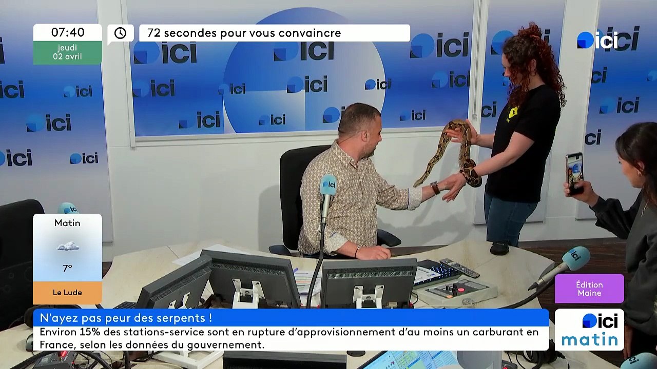 72 secondes pour vous convaincre de ne pas avoir peur des serpents