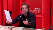 Pourquoi les baleines sont-elles des mammifères ? La question de David Castello-Lopes
