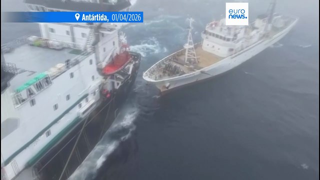 Defensores dos animais colidem com navio de pesca ao largo da costa da Antártida