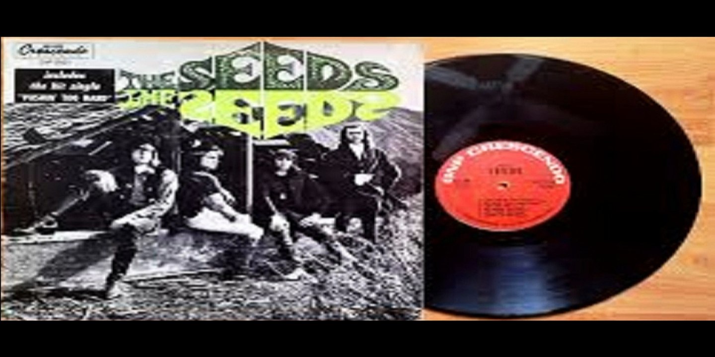 The Seeds — The Seeds 1966 (USA, Garage Psychedelic Rock)