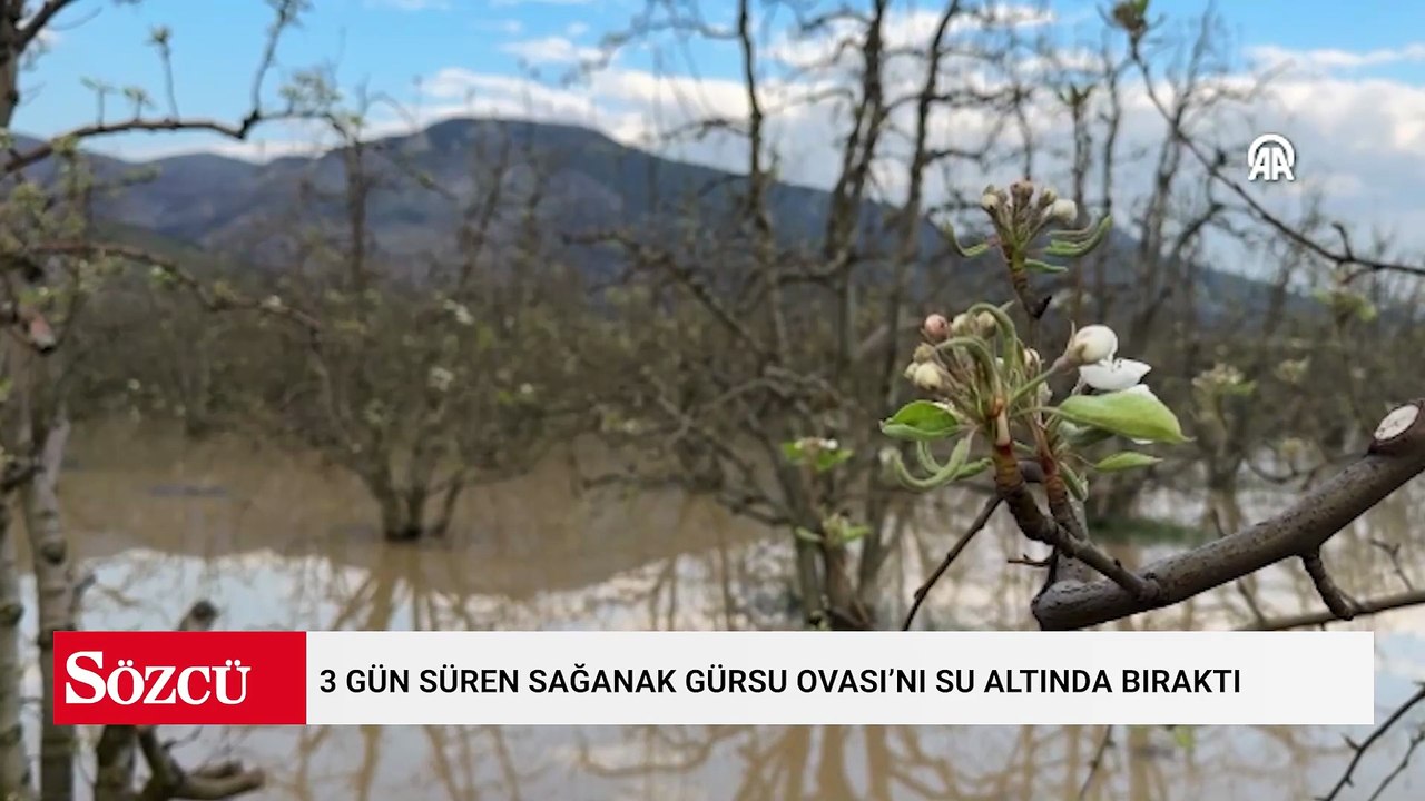 Hasadın başlamasına günler kala çiftçiler perişan oldu! 12 yıl sonra bir ilk yaşandı