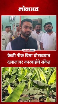 केळी पीक विमा घोटाळ्याबाबत जिल्हाधिकारी काय म्हणाले-