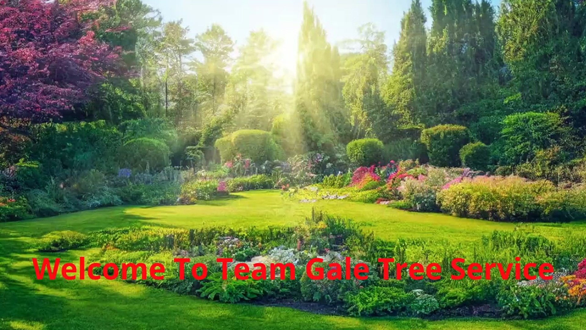 ⁣Team Gale Tree Service - Best Tree Removal in Cinnaminson, NJ