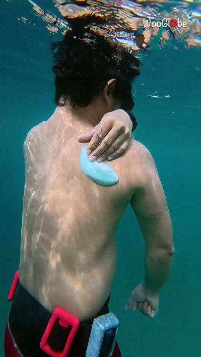 Diver Becomes Floating Spot For Fish and Has to Shoo Them