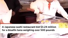 A Japanese sushi restaurant set a record by purchasing $3.2 million worth of tuna fish!