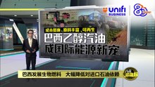 巴西发展生物燃料   大幅降低对进口石油依赖  | #UNIFIBUSINESS