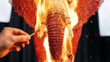 Art of matchstick Elephant burning 🔥