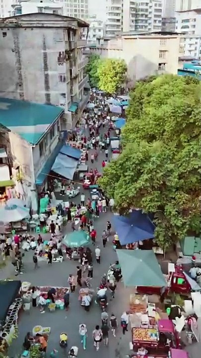 Protecting My Brother's Family #englishsub