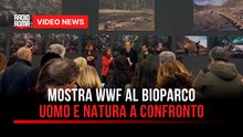 Mostra WWF al Bioparco, uomo e natura a confronto