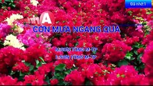 Arirang Karaoke 57732 Cơn Mưa Ngang Qua (Official)