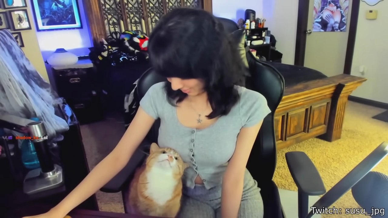 The Funniest Cat Videos Ever 2026