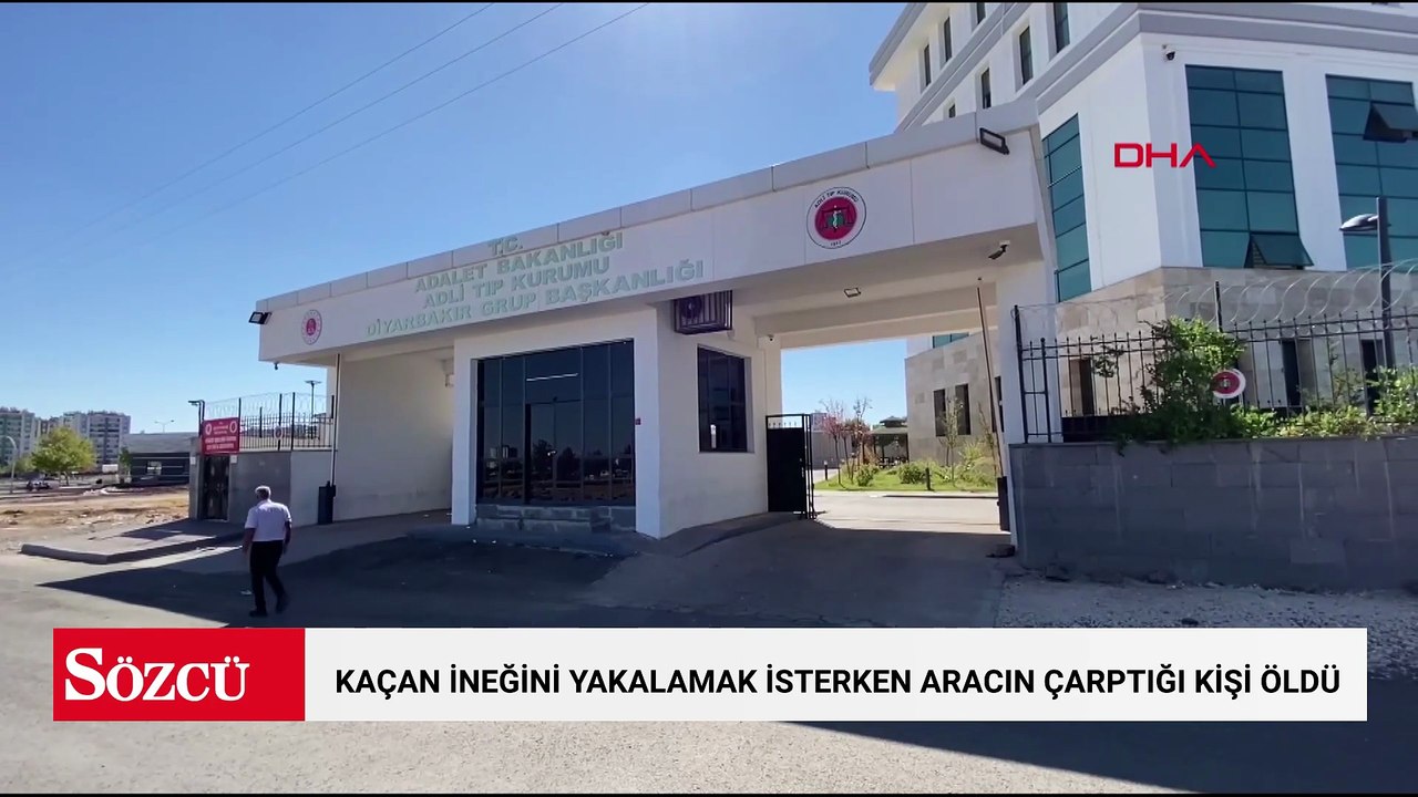 Kaçan ineğini yakalamak isterken hafif ticari aracın çarptığı kişi öldü