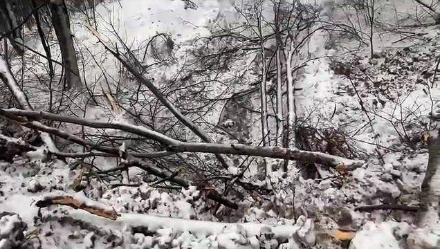 Image from field_mediaid