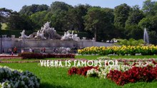 Wild Vienna (2025)