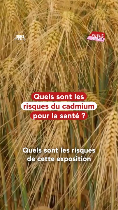 Le cadmium, ce métal lourd qui nous empoisonne