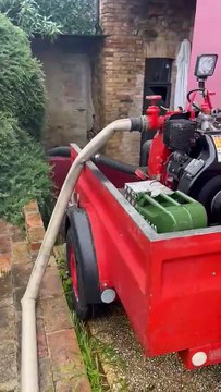 Image from field_mediaid