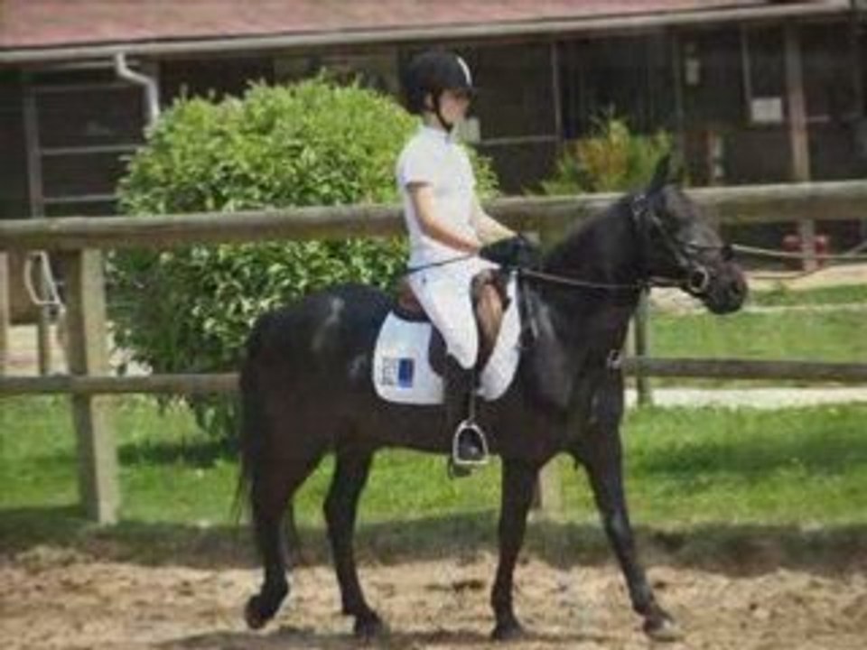 Harley <3