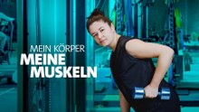 Meine Muskeln · Mehr als Power und Pumpen