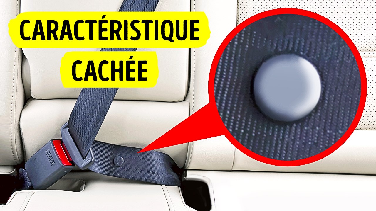 75 faits uniques que vous ne trouverez pas facilement en les cherchant sur Google