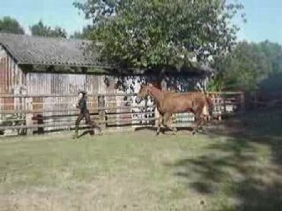 Peri 04juin08