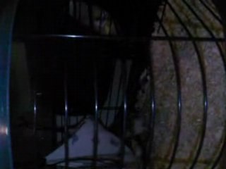 winni va au dodo a 23h20 !!!!