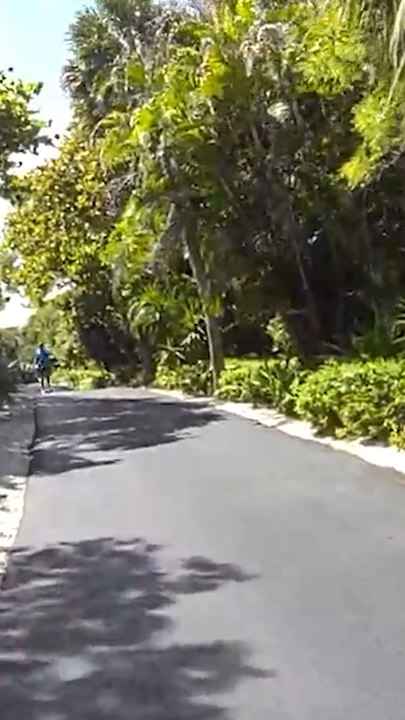 Tiger Woods said he called Trump before DUI arrest