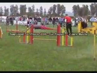 Championnat de France 2008 Agility NOUN