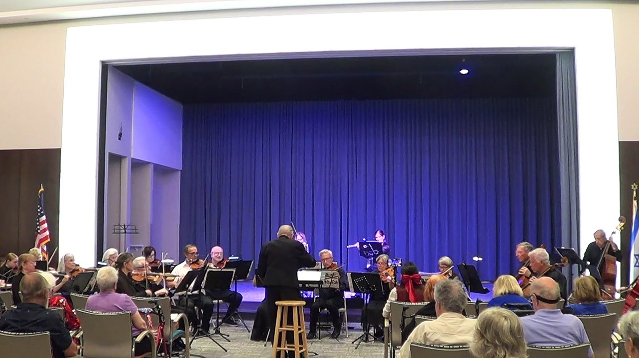 Menuet in D Major, K. 94
