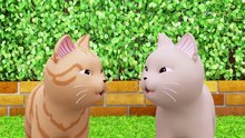 Sweet Pet Chi Episode 20ㅣChi, Flutter and The Thieving CatsㅣAspix Official ✨