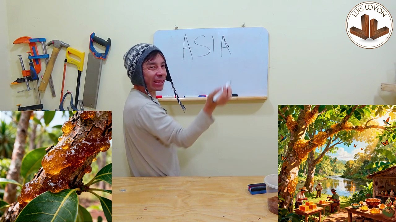 ¿QUE ES LA GOMA LACA? Proviene De Insectos? India Exporta 18 000 Toneladas? Datos De La Goma Laca