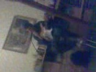 Yassmine qui joue de la guitare