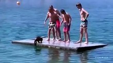 4 GROWN MEN VS. 1 TINY OTTER YOU WON'T BELIEVE WHO WINS!
