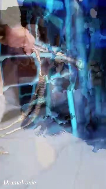 My Wife Is A Gangster! The Playboy Husband Obeys Her Orders English Dub