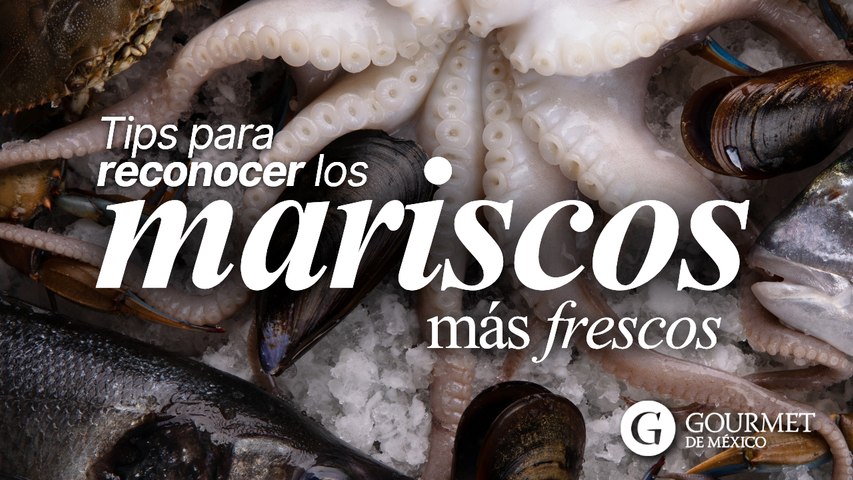 Tips para reconocer los mariscos más frescos