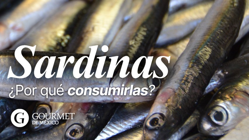 Sardinas, ¿por qué consumirlas?
