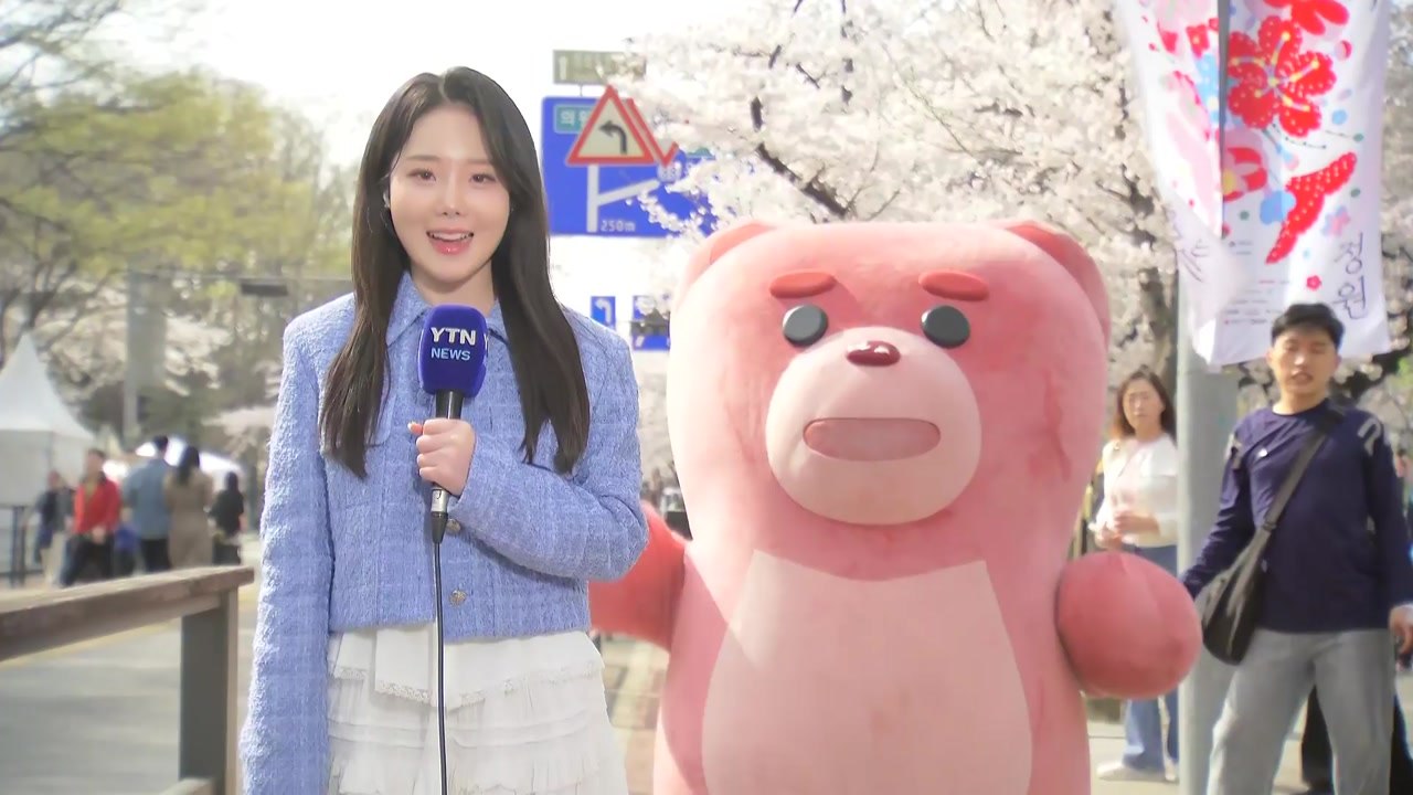 [날씨] 윤중로 수놓은 분홍빛 '벚꽃 물결'...밤부터 전국 비 / YTN