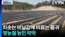 치솟는 비닐값에 비료는 품귀...영농철 농민 막막 / YTN