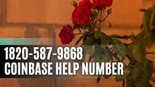 [ {Complete} ]™【BIG】™[*List of coinbaseⓃ CUSTOMER© WALLET© help℗ (Toll Free Number Support) Numbers