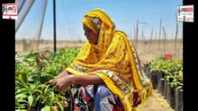 Tunnel Farming Empowers Rural Women | Success Story in Agriculture 03-04-2026