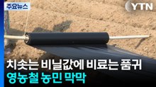 치솟는 비닐값에 비료는 품귀...영농철 농민 막막 / YTN