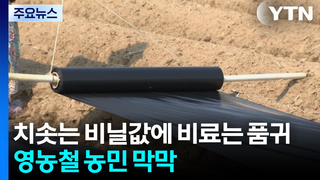 치솟는 비닐값에 비료는 품귀...영농철 농민 막막 / YTN